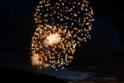 DSC_3343 (Large).JPG